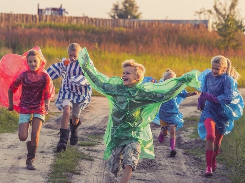 when does summer ebt start