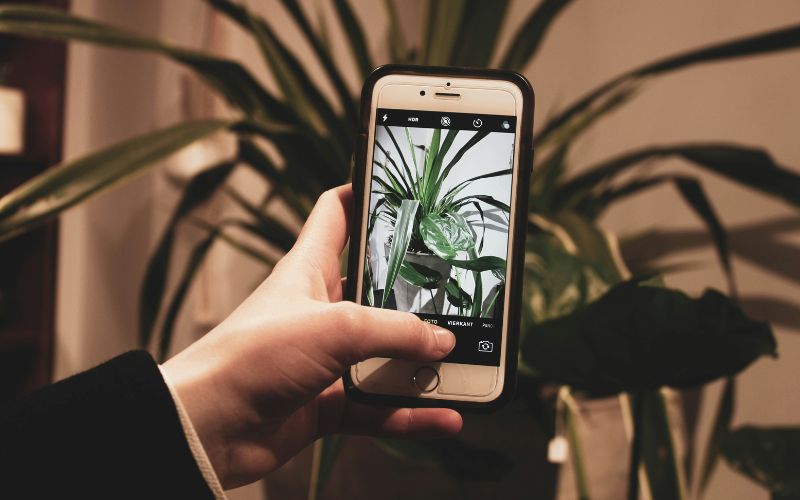 free-iphone-6s-government-phone-guide