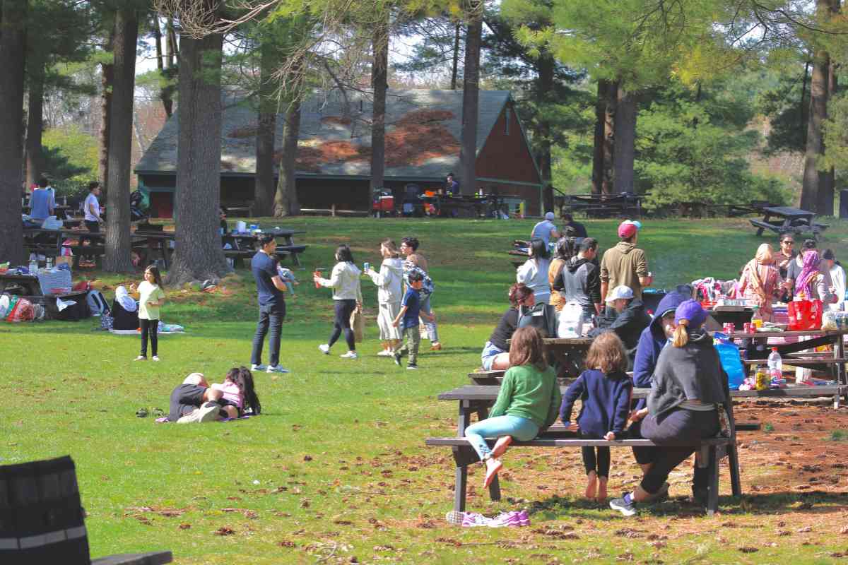Best Free Things to Do Near Me This Weekend: Check
Now