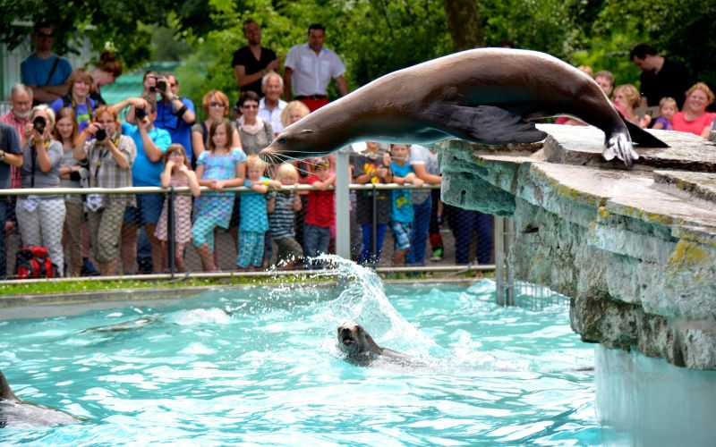 ebt-discounts-california-zoos-aquariums-and-museums