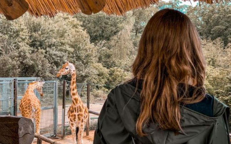 zoo-discounts-with-ebt-card-yes