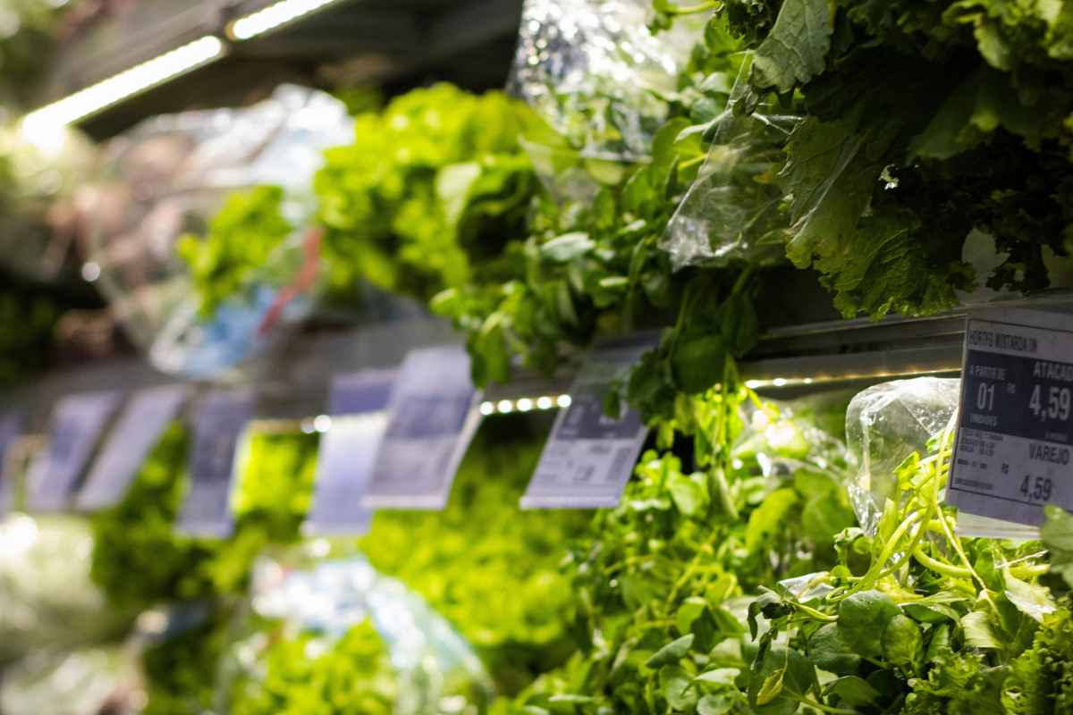 Does WholeFoods Take EBT? Another Benefit You Can’t Miss
Out