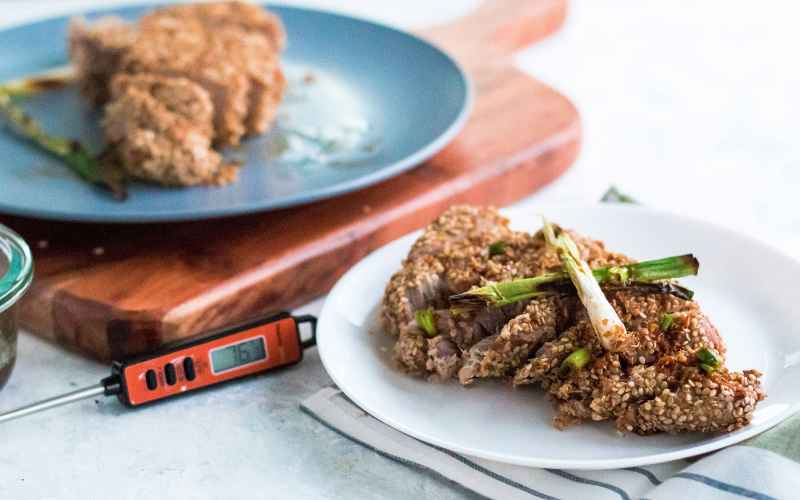 how-to-use-a-meat-thermometer-full-guide
