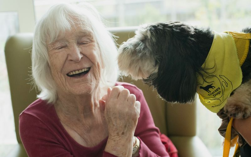 are-pets-allowed-in-assisted-living-facilities-which-pets
