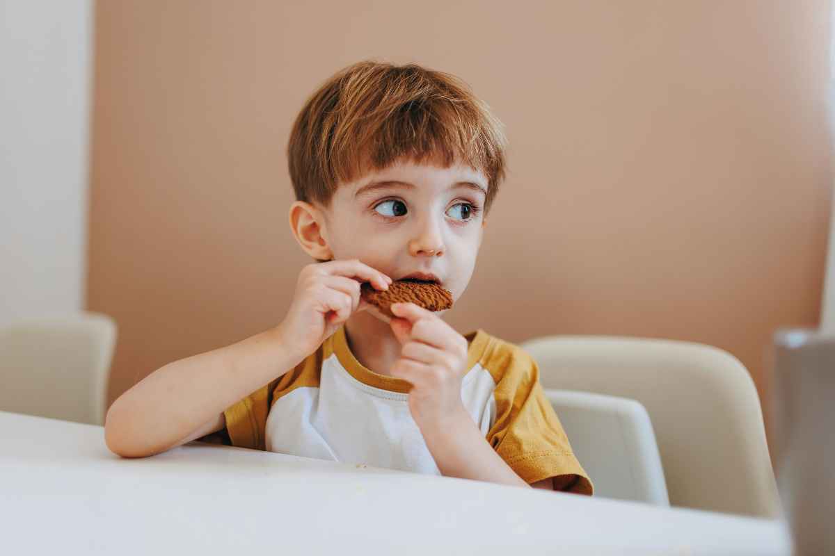 35+ Healthy Snacks for Kids, From Protein Picks to School Snacks