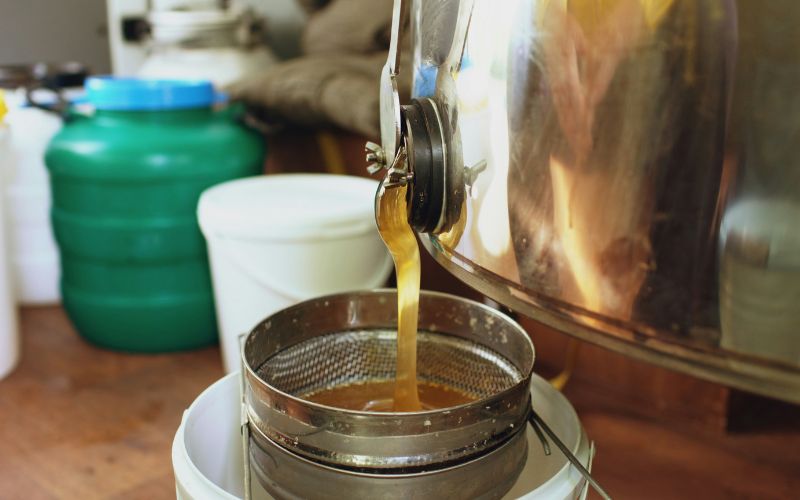 how-to-brew-kombucha-how-long