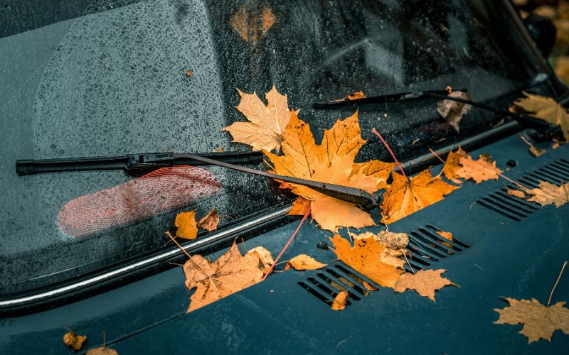 how-to-replace-windshield-wipers-how-to-choose