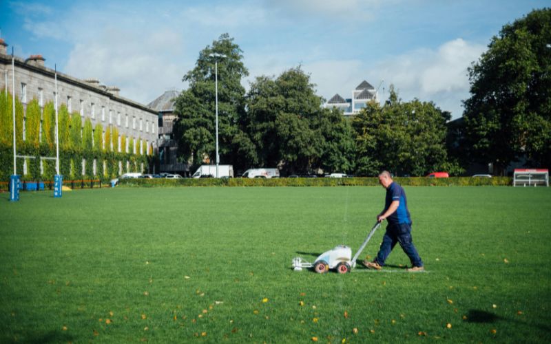 how-to-reseed-a-lawn-the-best-time