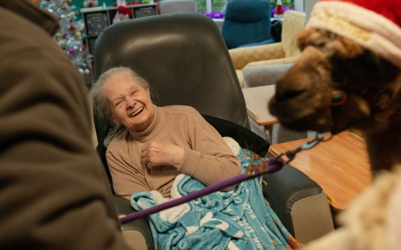 is-assisted-living-tax-deductible-what-percentage