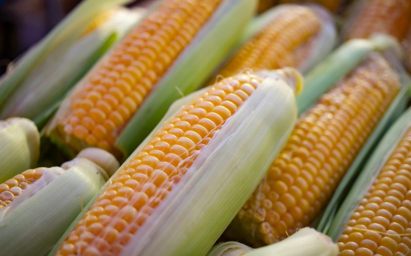 is-corn-a-vegetable-some-types
