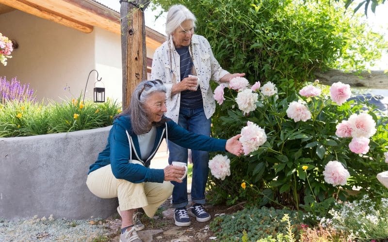 what-is-aging-in-place-services