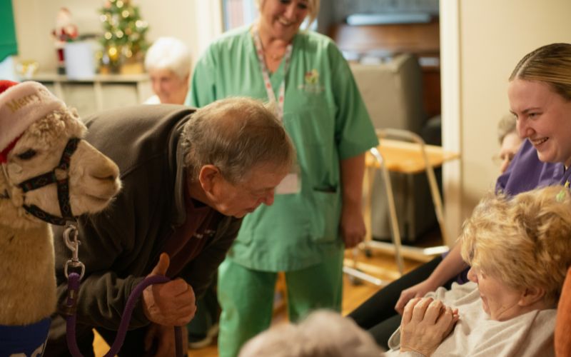 what-is-an-assisted-living-facility-services