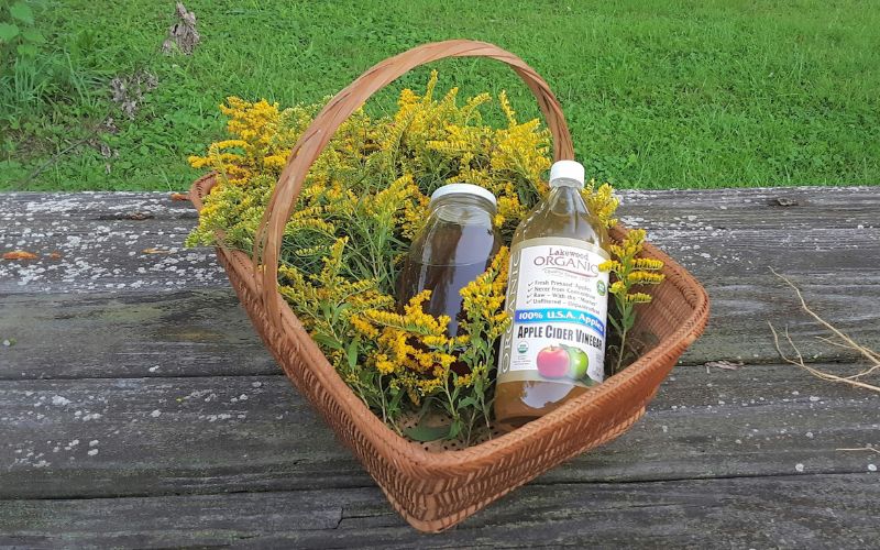 how-to-get-rid-of-fruit-flies-in-kitchen-with-apple-cider-vinegar
