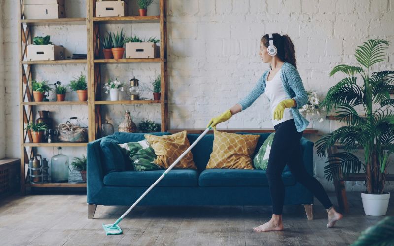 how-to-get-rid-of-gnats-in-house-2